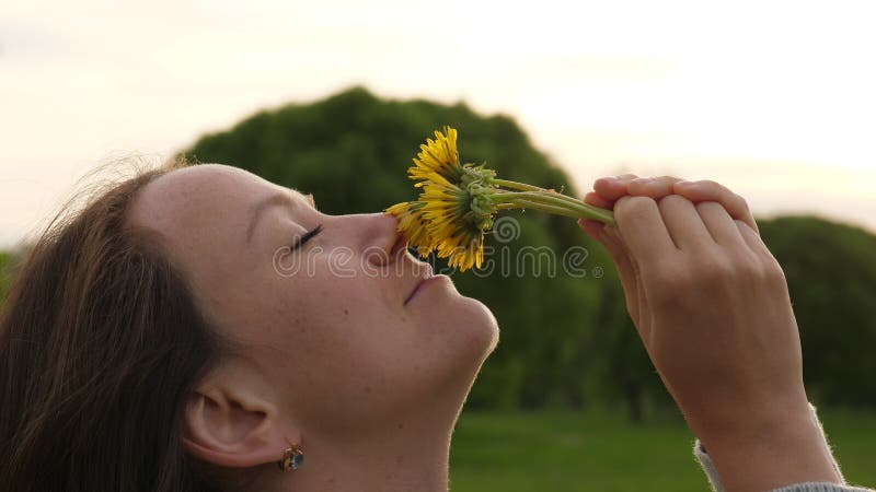 La femme apprécient le parfum de fleurs de pissenlit