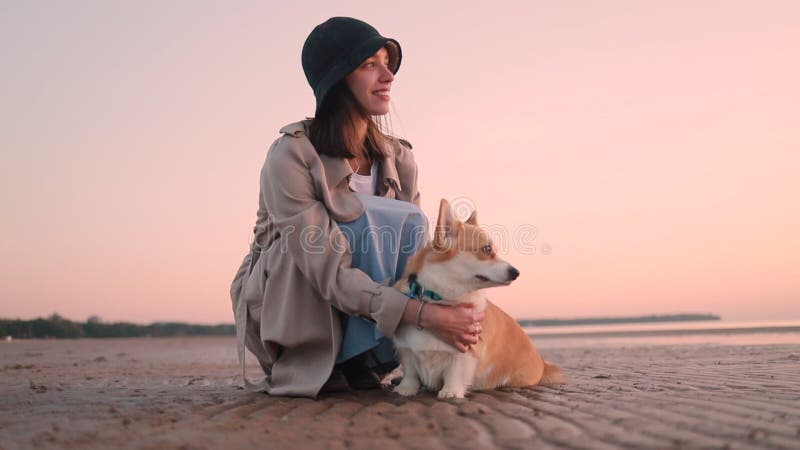 La femme et l'animal ont le bon temps ensemble sur la plage de mer pour égaliser le spbi au coucher du soleil. banque de vidéos