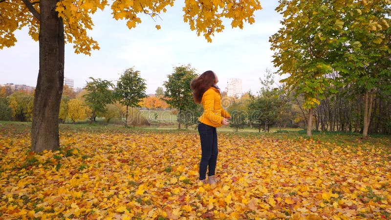 La femme heureuse apprécient le visionnement de feuilles d'automne, arbres d'érable jaunes