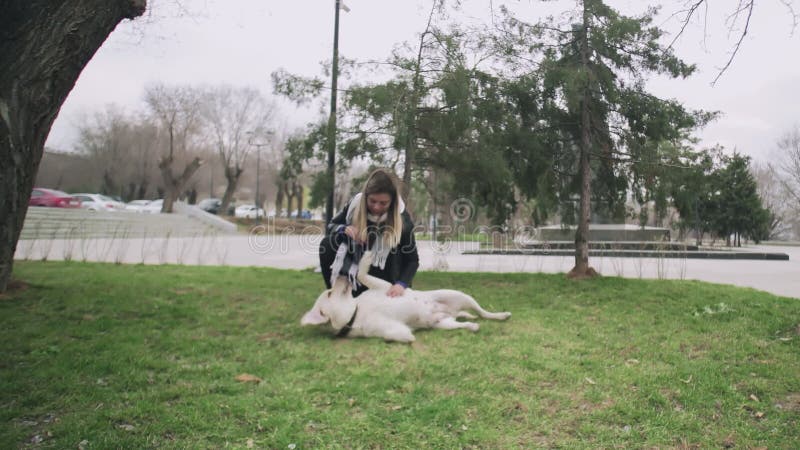 La femme longe les chiens du Labrador se gonfle dans le parc