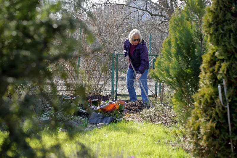La femme nettoie le jardin en premier ressort images libres de droits La femme nettoie le jardin en premier ressort images libres de droits
