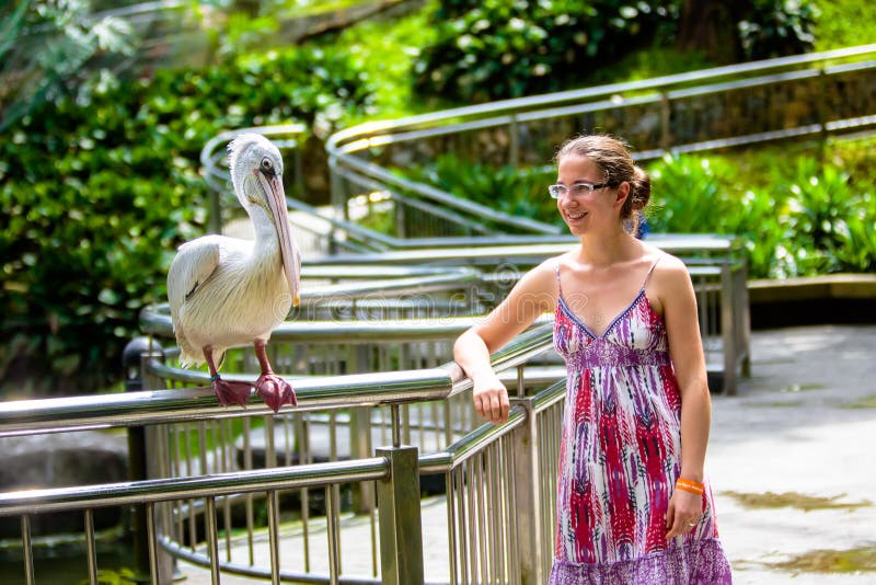 La femme parle au pélican en parc d'oiseau images stock La femme parle au pélican en parc d'oiseau images stock