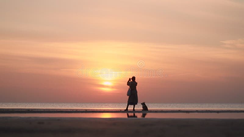 La femme prend la photo d'égaliser le coucher du soleil et le chien se trouve sur la plage de mer dehors. banque de vidéos