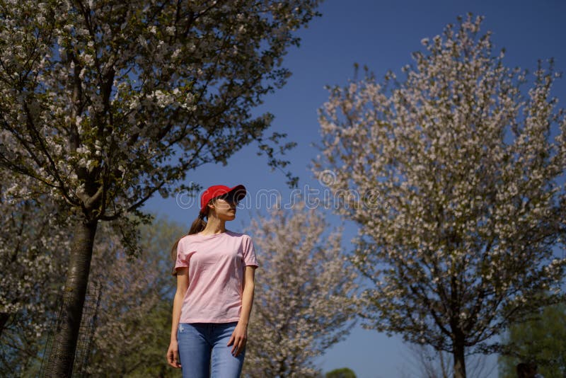 La femme r?ussie d'affaires appr?cie son temps libre de loisirs en parc avec les cerisiers de floraison de Sakura utilisant des j images libres de droits La femme r?ussie d'affaires appr?cie son temps libre de loisirs en parc avec les cerisiers de floraison de Sakura utilisant des j images libres de droits