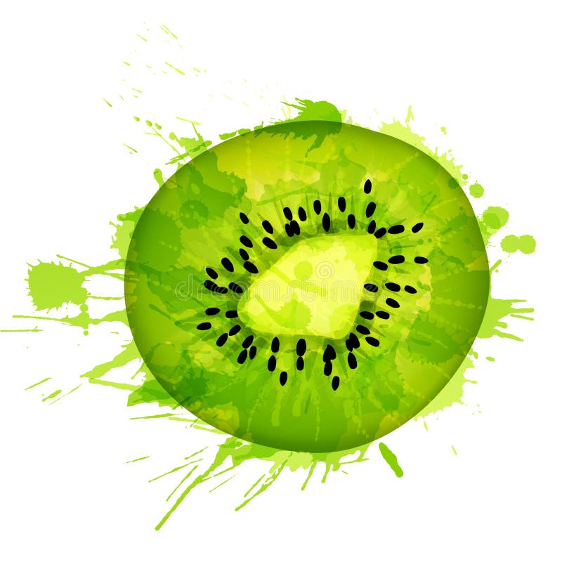 La fetta del kiwi fatta di variopinto spruzza illustrazione vettoriale