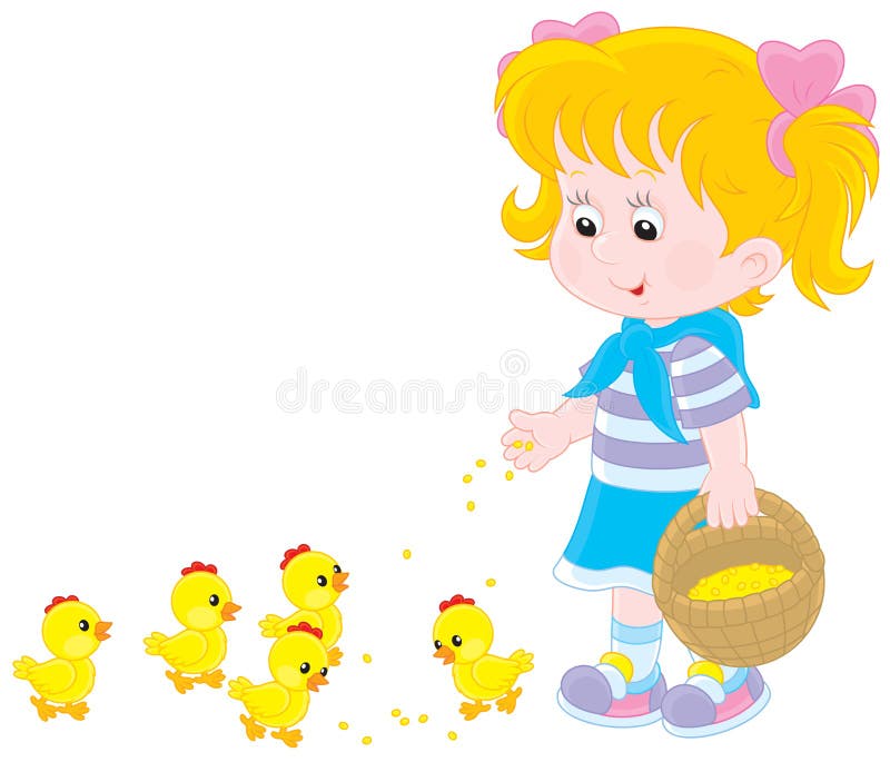 Little girl feeding small yellow chickens. Little girl feeding small yellow chickens