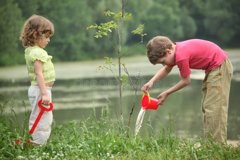 la fille de garçon pleuvoir à torrents l'arbre de plante photographie stock libre de droits la fille de garçon pleuvoir à torrents l'arbre de plante photographie stock libre de droits