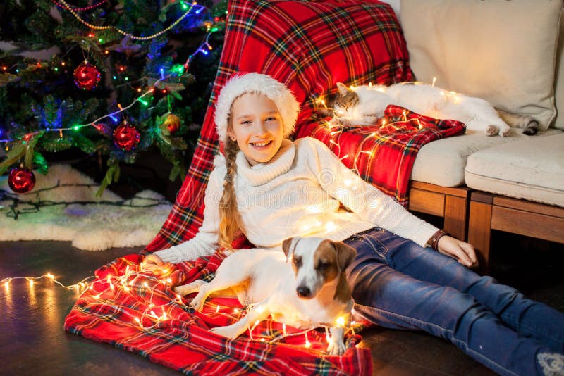 La fille de sourire avec des animaux familiers s'approchent de l'arbre de Noël à la maison photo stock La fille de sourire avec des animaux familiers s'approchent de l'arbre de Noël à la maison photo stock