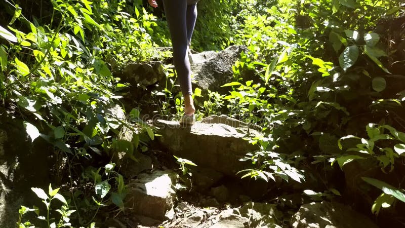 La fille de vue de postérieur monte les étapes en pierre entre les usines