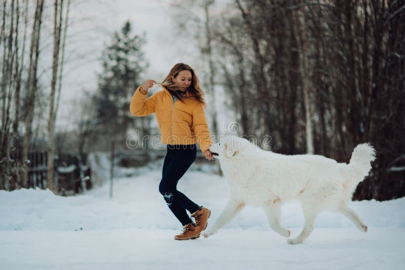La fille enseigne comment redresser courent un chien en parc d'hiver La fille avec le Maremma Forêt sur le fond