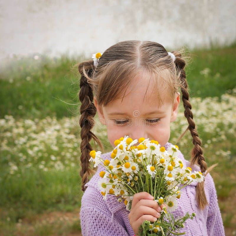 La fille sent la camomille photo stock La fille sent la camomille photo stock
