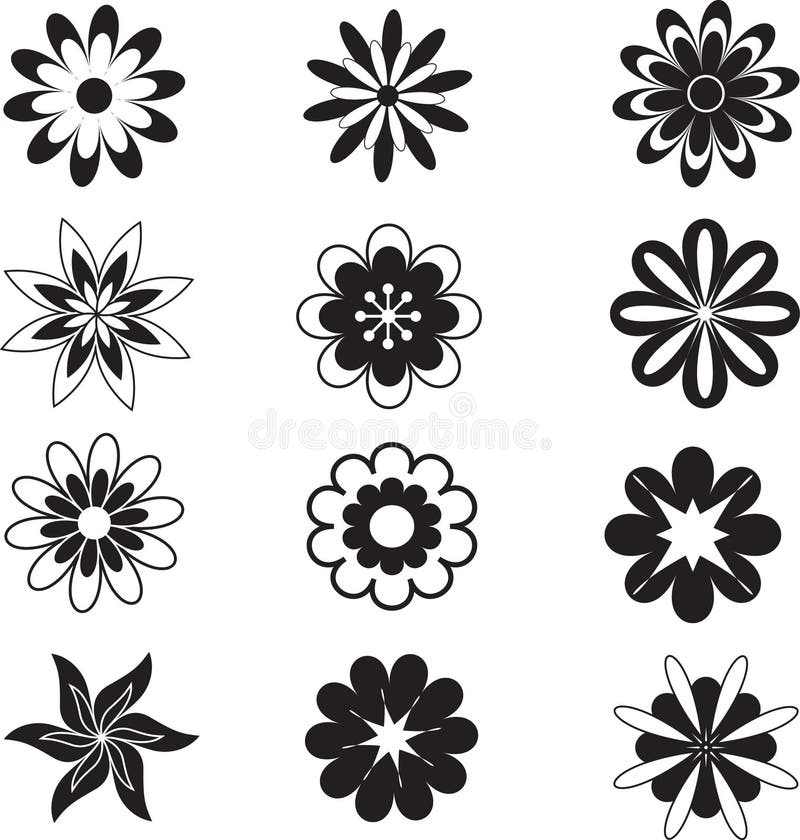 La Flor Negra, Flores Blancas, Florece El Vector, B Blanco Stock de  ilustración - Ilustración de flora, negro: 44192505