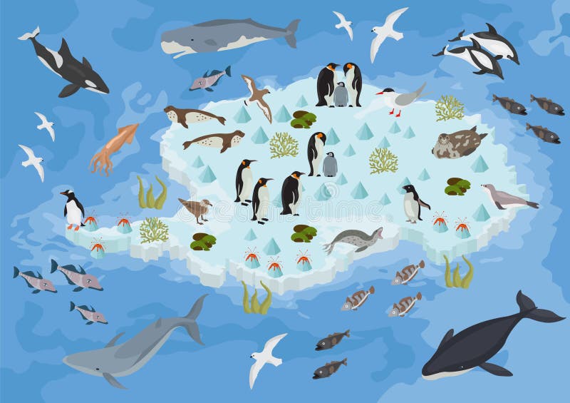 La flora isometrica e la fauna di 3d Antartide tracciano gli elementi Animali, b