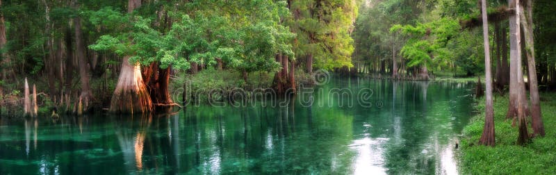 La Florida primavera-alimentó panorama del río imagen de archivo La Florida primavera-alimentó panorama del río imagen de archivo