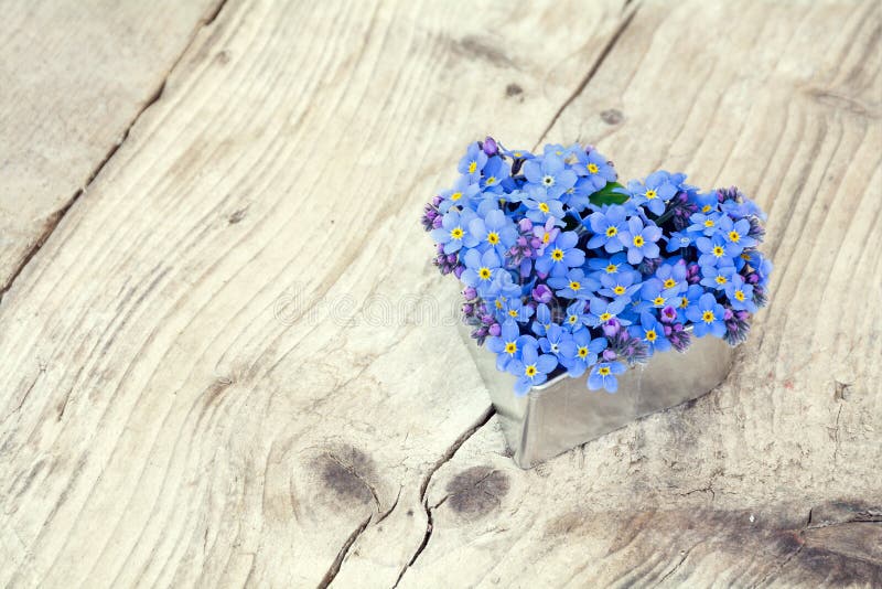 Heart shape with blue forget-me-not flowers on a rustic wooden board, copy space in the background. Heart shape with blue forget-me-not flowers on a rustic wooden board, copy space in the background