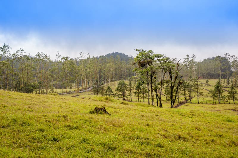 La Fortuna Landscape