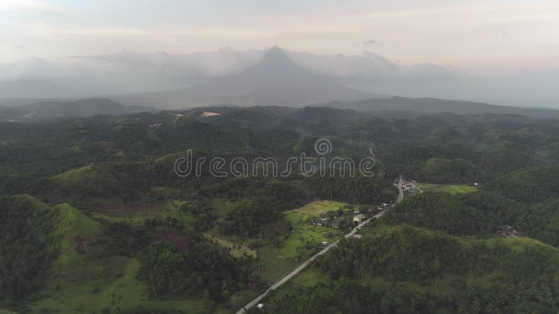 La forêt tropicale à feuilles caduques à la colline verte avec les prés de grassy au contexte du volcan Mayon Nature de l'Asie clips vidéos