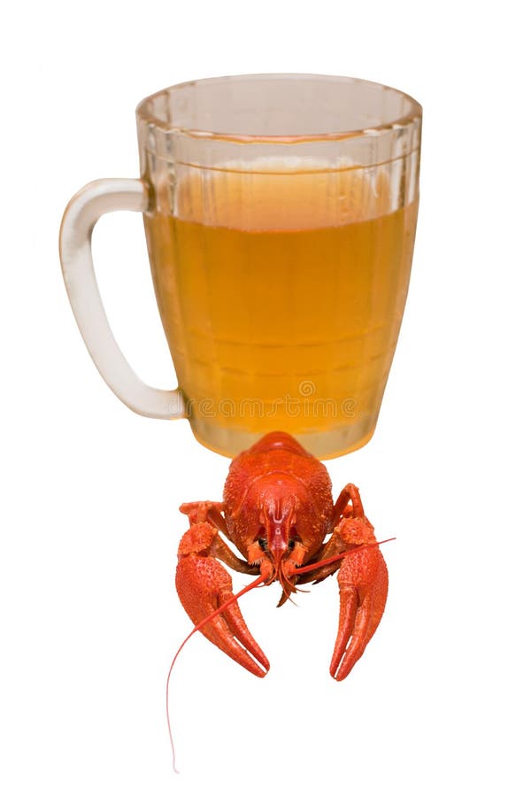 La foto del río hirvió los cangrejos contra un vidrio de cerveza foto de archivo libre de regalías La foto del río hirvió los cangrejos contra un vidrio de cerveza foto de archivo libre de regalías