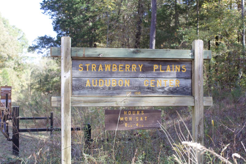 La fragola Plains il centro di Audubon