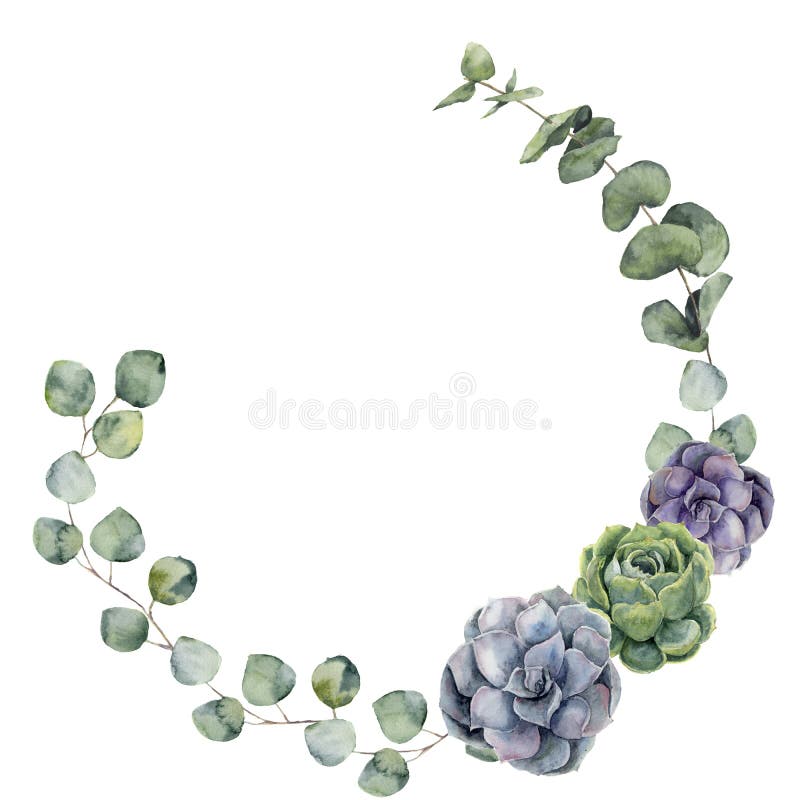 La frontera floral de la acuarela con el bebé, eucalipto del dólar de plata se va y succulent Guirnalda floral pintada a mano con stock de ilustración La frontera floral de la acuarela con el bebé, eucalipto del dólar de plata se va y succulent Guirnalda floral pintada a mano con stock de ilustración