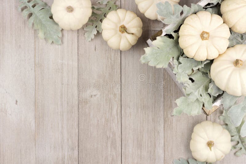 La frontière faisante le coin des potirons et de l'argent blancs part au-dessus du bois gris photographie stock La frontière faisante le coin des potirons et de l'argent blancs part au-dessus du bois gris photographie stock