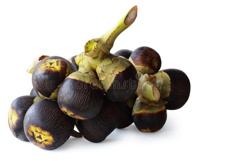 La frutta di Sugarpalm ha isolato sopra con il percorso fotografia stock La frutta di Sugarpalm ha isolato sopra con il percorso fotografia stock