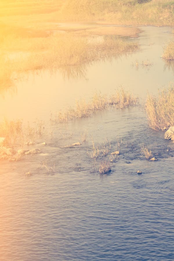 La fusée de matin dans la nature faite avec le filtre, tonalité de vintage images stock La fusée de matin dans la nature faite avec le filtre, tonalité de vintage images stock
