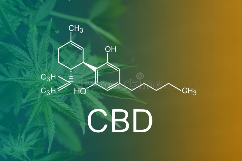 La fórmula química de CBD, fórmula química de CBD, fondo hermoso del cáñamo verde florece el lugar de A para el espacio de la cop imagen de archivo libre de regalías La fórmula química de CBD, fórmula química de CBD, fondo hermoso del cáñamo verde florece el lugar de A para el espacio de la cop imagen de archivo libre de regalías