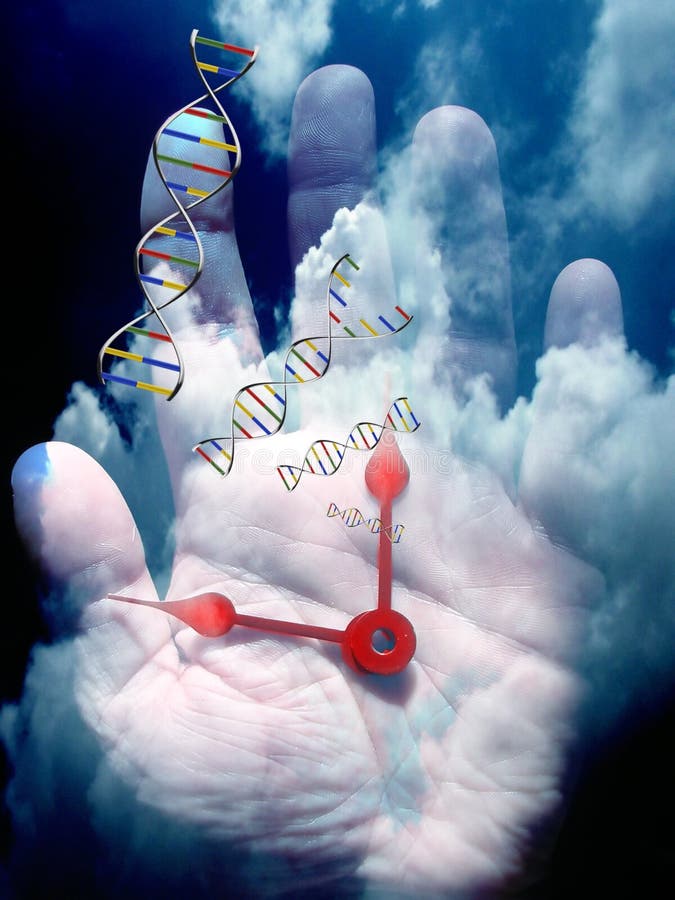 genetica molecolare umana pdf to jpg genetica molecolare umana pdf to jpg