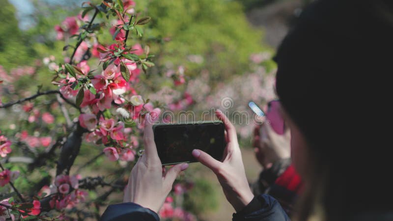 La gente disfruta de las flores sakura japonesas en el parque tokyo