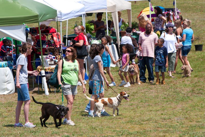 La gente e la loro camminata dei cani intorno al festival del cane