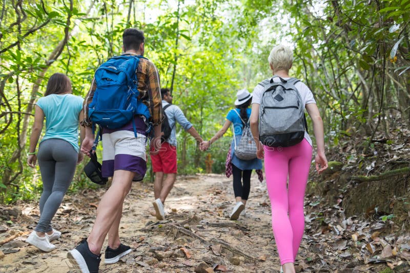 La gente raggruppa con trekking degli zainhi su Forest Path Back Rear View, sui giovani e sulla donna sull'aumento immagine stock libera da diritti La gente raggruppa con trekking degli zainhi su Forest Path Back Rear View, sui giovani e sulla donna sull'aumento immagine stock libera da diritti