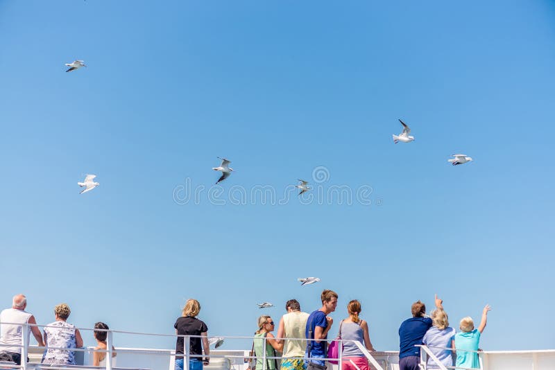 La gente sta sul traghetto e guarda i precedenti del cielo blu dei gabbiani immagini stock