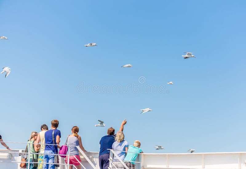 La gente sta sul traghetto e guarda i precedenti del cielo blu dei gabbiani fotografia stock