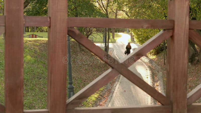 La giovane donna di affari cammina nel parco Giorno di autunno Colpo liscio del carrello