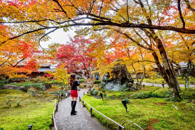 La giovane donna prende una foto nel parco di autunno Foglie variopinte in autunno, Kyoto nel Giappone fotografie stock La giovane donna prende una foto nel parco di autunno Foglie variopinte in autunno, Kyoto nel Giappone fotografie stock