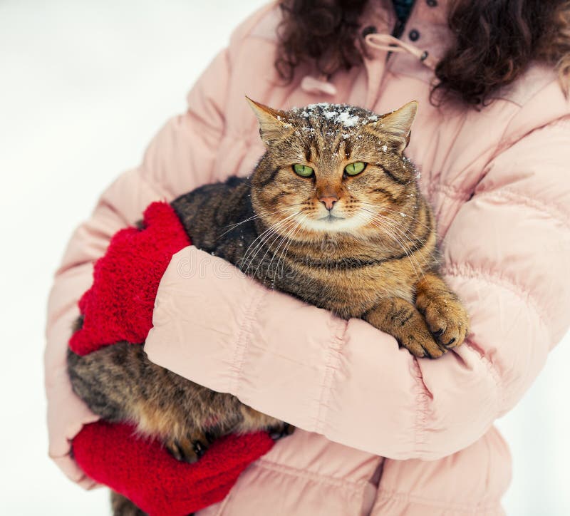 La giovane donna tiene un gatto immagine stock libera da diritti La giovane donna tiene un gatto immagine stock libera da diritti