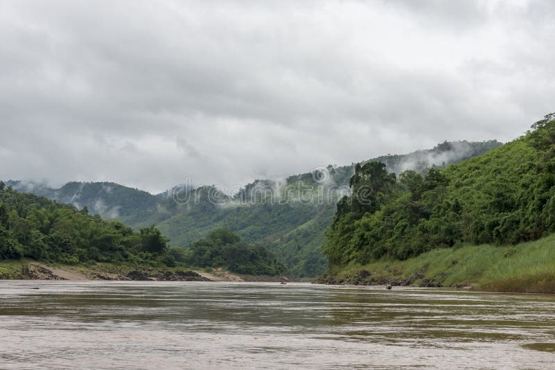 La giungla al Mekong Laos immagini stock La giungla al Mekong Laos immagini stock