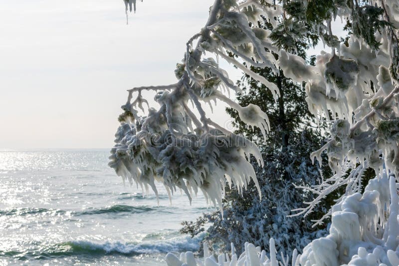 La glace a couvert des arbres le long d'au bord du lac photos stock La glace a couvert des arbres le long d'au bord du lac photos stock