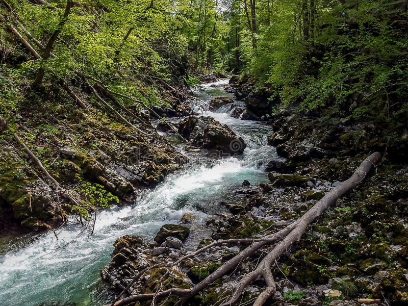 La gola di Vintgar - gioiello della natura, sanguinato, Slovenia fotografie stock libere da diritti La gola di Vintgar - gioiello della natura, sanguinato, Slovenia fotografie stock libere da diritti