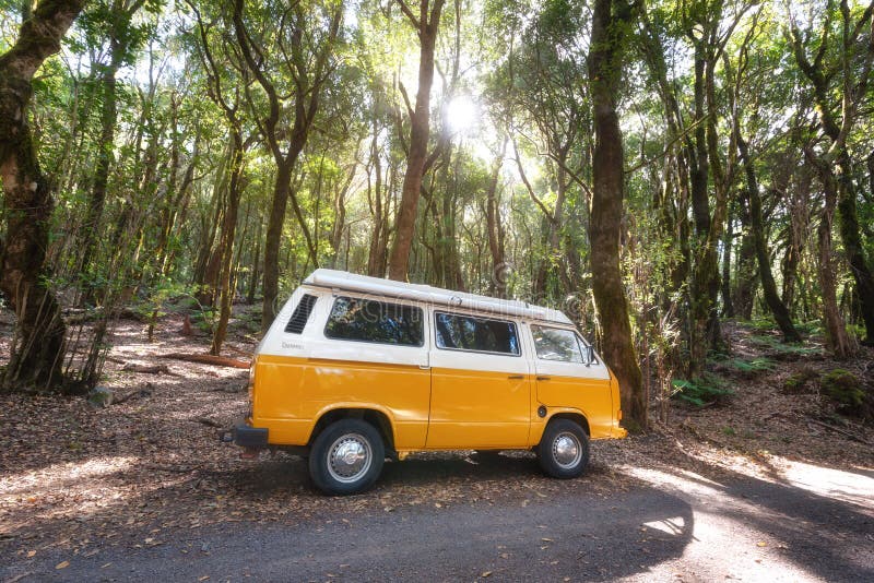La Gomera, Spanje - Januari 16, 2016: Klassieke T2bestelwagen van kampeerautovolkswagen op de weg in een groen bos stock afbeelding La Gomera, Spanje - Januari 16, 2016: Klassieke T2bestelwagen van kampeerautovolkswagen op de weg in een groen bos stock afbeelding
