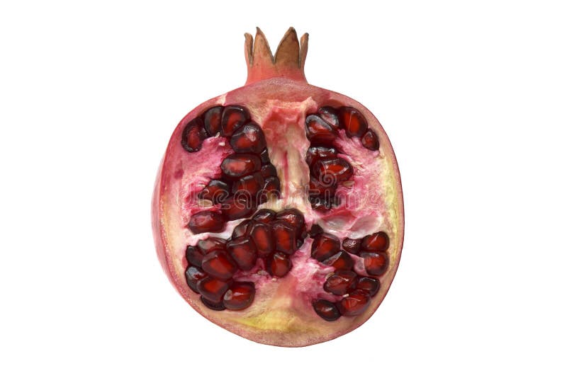 La granada cutted la fruta aislada en el fondo blanco Bocado sano del postre jugoso exótico maduro rojo Dieta cruda entera fotos de archivo libres de regalías La granada cutted la fruta aislada en el fondo blanco Bocado sano del postre jugoso exótico maduro rojo Dieta cruda entera fotos de archivo libres de regalías