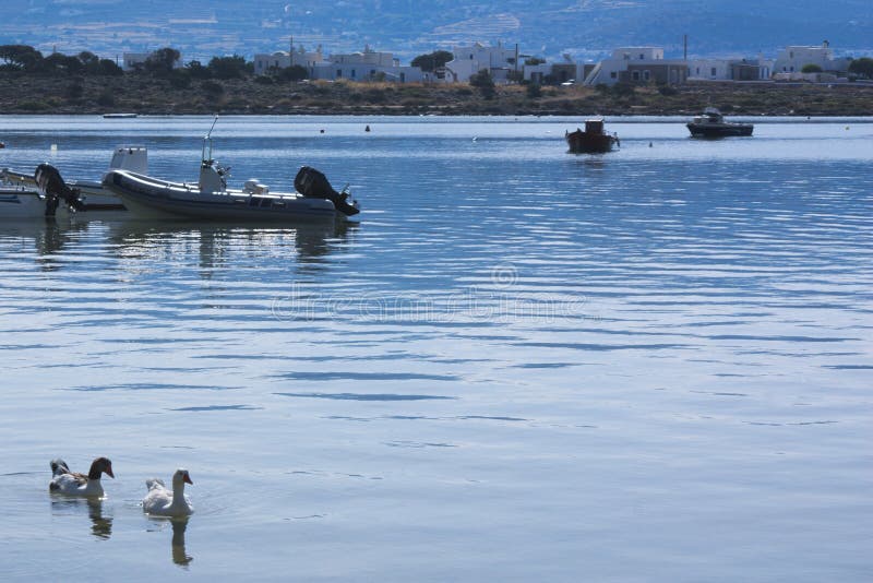 La Grèce, l'île d'anti Paros Les eaux placides du port de l'île photo libre de droits La Grèce, l'île d'anti Paros Les eaux placides du port de l'île photo libre de droits