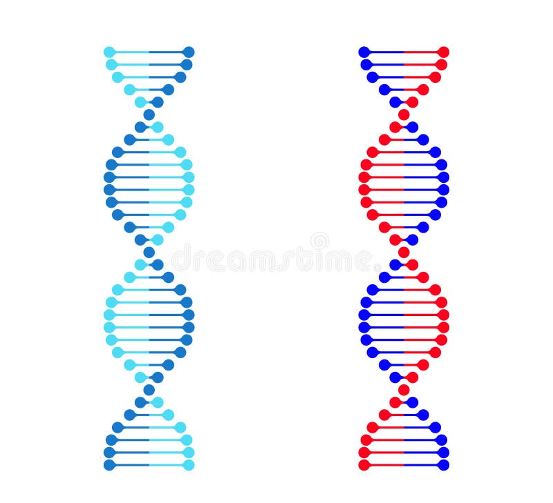 La génétique de chromosome d'icône d'ADN dirige l'ensemble de molécule de gène d'ADN de vecteur
