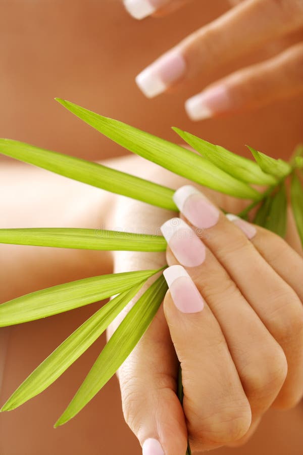 Beautiful hands with French manicure nails. Beautiful hands with French manicure nails