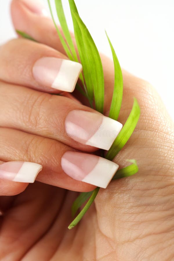 Beautiful hands with French manicure nails. Beautiful hands with French manicure nails
