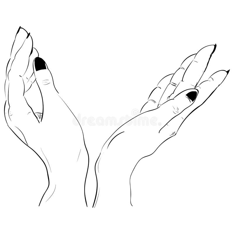 Ink sketch two hands holding something vector. Ink sketch two hands holding something vector