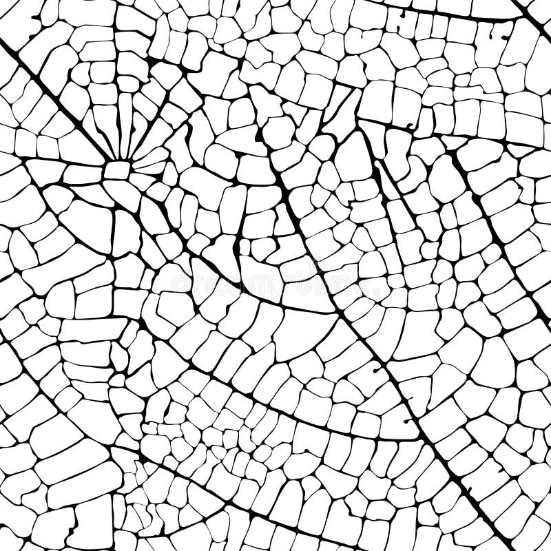 La hoja del vector vetea textura inconsútil stock de ilustración