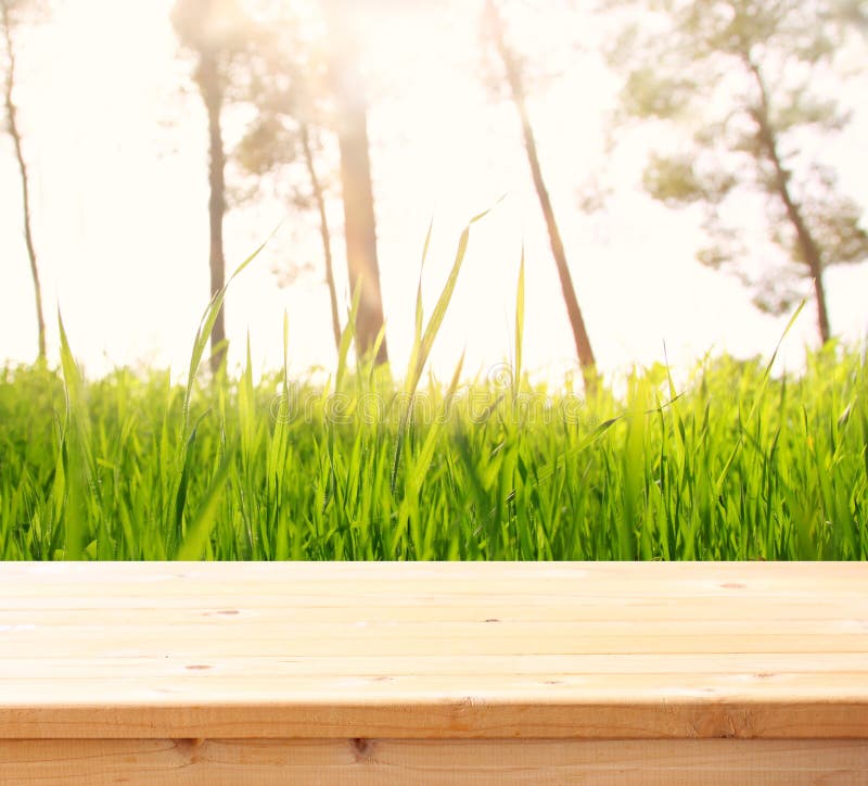 Image of front rustic wood boards and background of trees in forest. image is retro toned. Image of front rustic wood boards and background of trees in forest. image is retro toned.