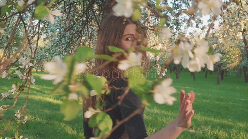 La jeune femme marchant dans un champ de pommiers fleurit au printemps le blanc Portrait d'une belle fille dans le fruit de soiré clips vidéos